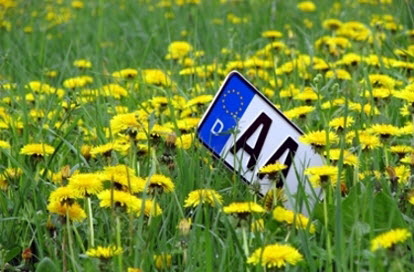 Aalen Aalen
